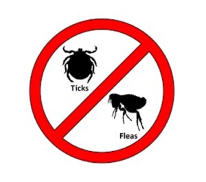 Tick & Flea Products